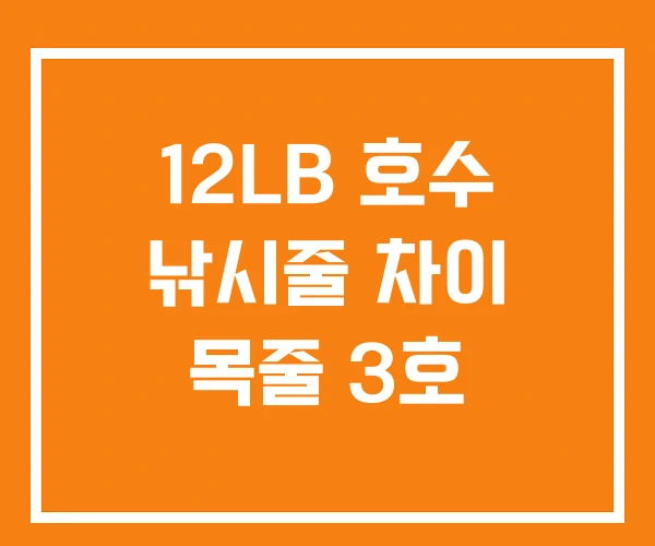 12LB 호수 낚시줄 차이 목줄 3호