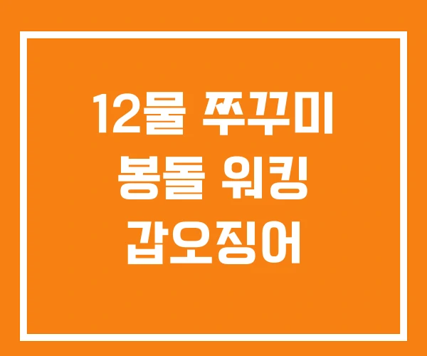 12물 쭈꾸미 봉돌 워킹 갑오징어 12물 쭈꾸미 봉돌 워킹 갑오징어