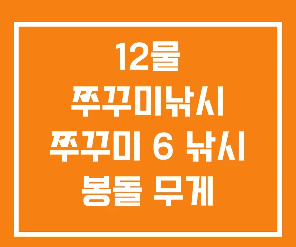 12물 쭈꾸미낚시 쭈꾸미 6 낚시 봉돌 무게 12물 쭈꾸미낚시 쭈꾸미 6 낚시 봉돌 무게