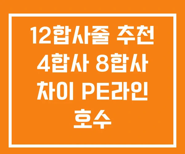 12합사줄 추천 4합사 8합사 차이 PE라인 호수 12합사줄 추천 4합사 8합사 차이 PE라인 호수