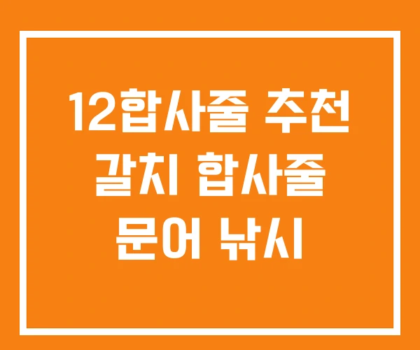 12합사줄 추천 갈치 합사줄 문어 낚시 12합사줄 추천 갈치 합사줄 문어 낚시