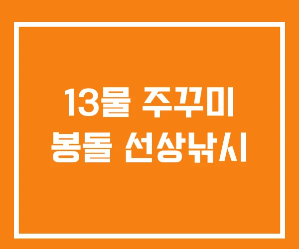 13물 주꾸미 봉돌 선상낚시