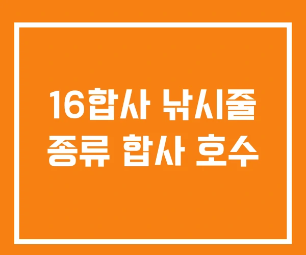 16합사 낚시줄 종류 합사 호수