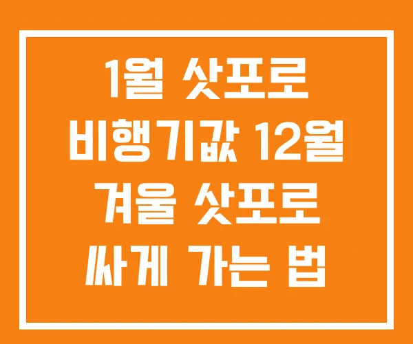 1월 삿포로 비행기값 12월 겨울 삿포로 싸게 가는 법 1월 삿포로 비행기값 12월 겨울 삿포로 싸게 가는 법