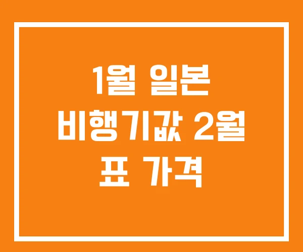 1월 일본 비행기값 2월 표 가격