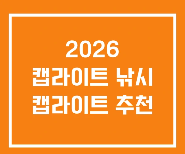2026 캡라이트 낚시 캡라이트 추천