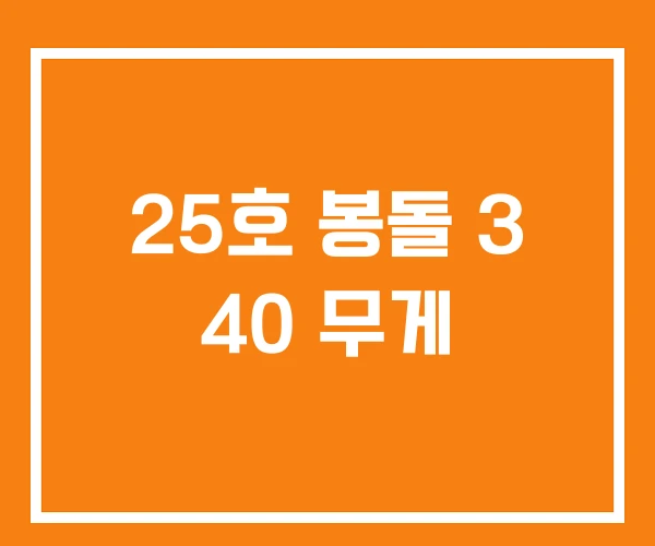 25호 봉돌 3 40 무게
