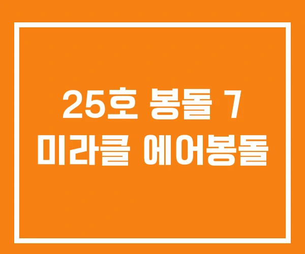 25호 봉돌 7 미라클 에어봉돌 25호 봉돌 7 미라클 에어봉돌