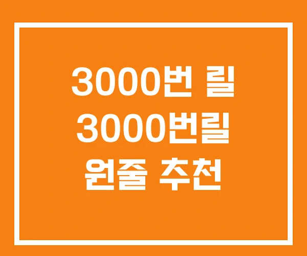 3000번 릴 3000번릴 원줄 추천 3000번 릴 3000번릴 원줄 추천
