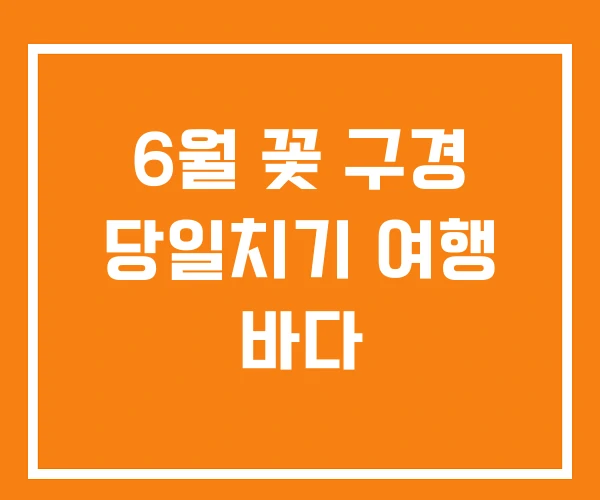 6월 꽃 구경 당일치기 여행 바다