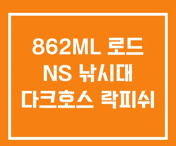 862ML 로드 NS 낚시대 다크호스 락피쉬 862ML 로드 NS 낚시대 다크호스 락피쉬