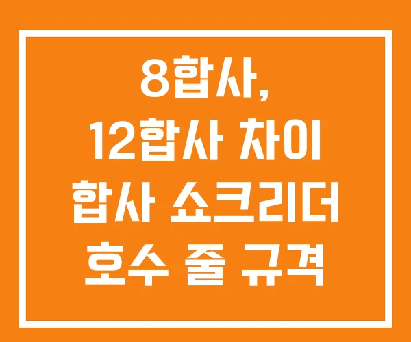 8합사, 12합사 차이 합사 쇼크리더 호수 줄 규격
