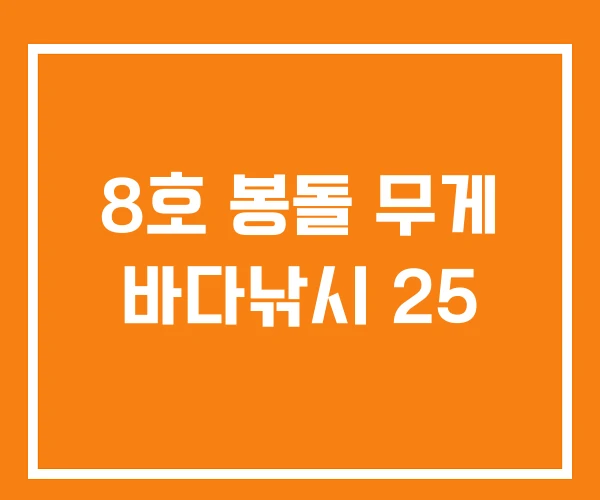 8호 봉돌 무게 바다낚시 25 8호 봉돌 무게 바다낚시 25