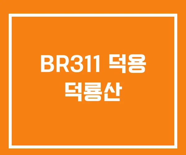 BR311 덕용 덕룡산 BR311 덕용 덕룡산