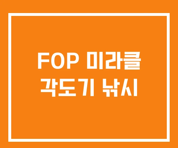 FOP 미라클 각도기 낚시 FOP 미라클 각도기 낚시