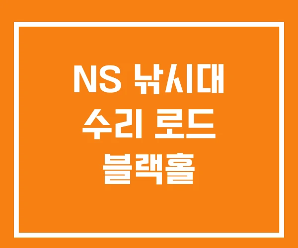 NS 낚시대 수리 로드 블랙홀 NS 낚시대 수리 로드 블랙홀