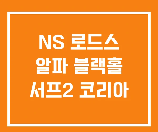 NS 로드스 알파 블랙홀 서프2 코리아 NS 로드스 알파 블랙홀 서프2 코리아