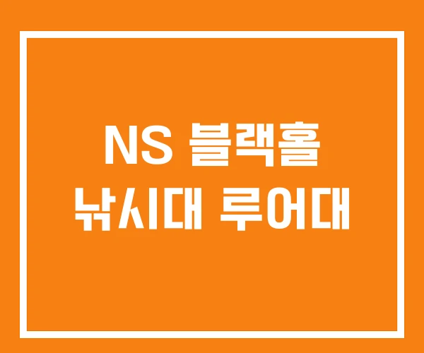 NS 블랙홀 낚시대 루어대 NS 블랙홀 낚시대 루어대