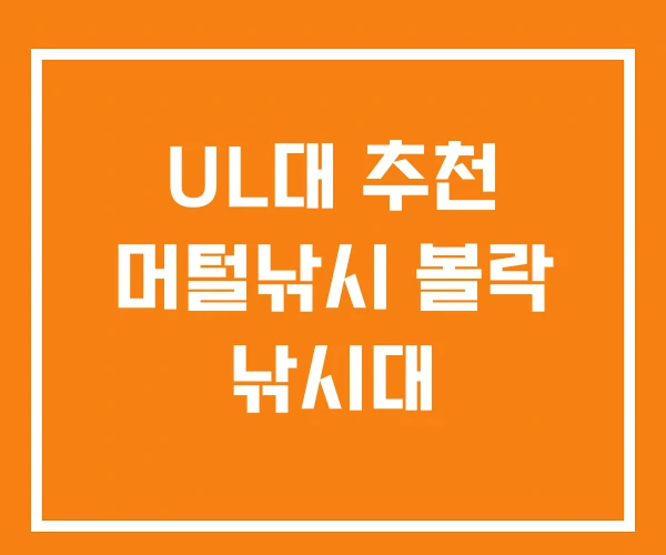 UL대 추천 머털낚시 볼락 낚시대 UL대 추천 머털낚시 볼락 낚시대