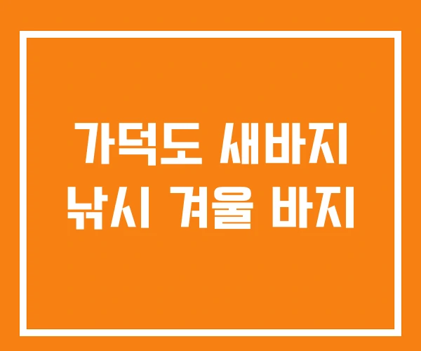 가덕도 새바지 낚시 겨울 바지 가덕도 새바지 낚시 겨울 바지