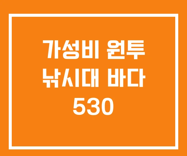 가성비 원투 낚시대 바다 530 가성비 원투 낚시대 바다 530