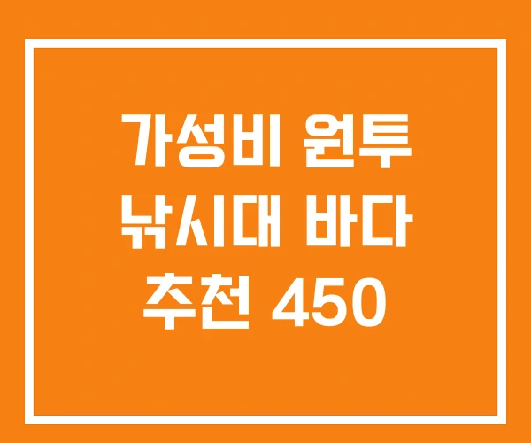 가성비 원투 낚시대 바다 추천 450 가성비 원투 낚시대 바다 추천 450