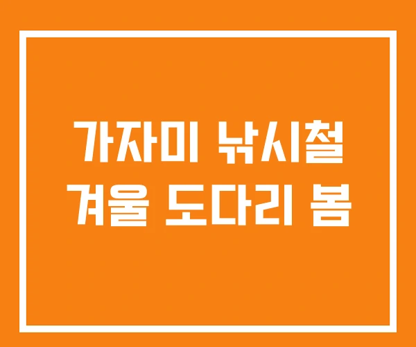 가자미 낚시철 겨울 도다리 봄 가자미 낚시철 겨울 도다리 봄