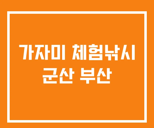 가자미 체험낚시 군산 부산