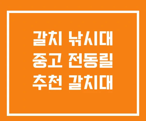 갈치 낚시대 중고 전동릴 추천 갈치대 갈치 낚시대 중고 전동릴 추천 갈치대