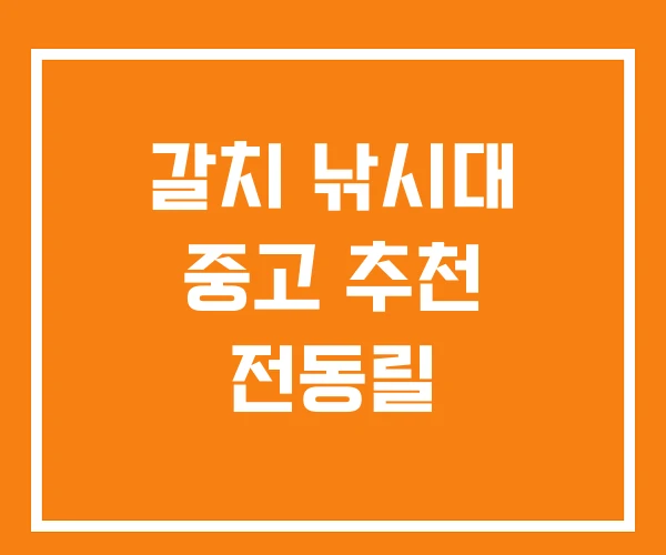 갈치 낚시대 중고 추천 전동릴 갈치 낚시대 중고 추천 전동릴