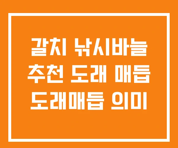 갈치 낚시바늘 추천 도래 매듭 도래매듭 의미 갈치 낚시바늘 추천 도래 매듭 도래매듭 의미