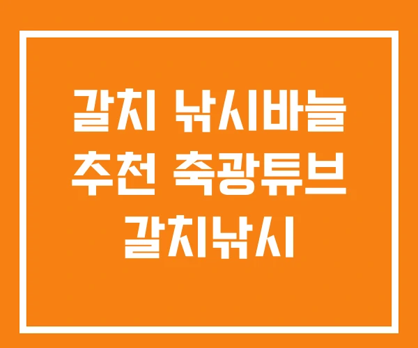 갈치 낚시바늘 추천 축광튜브 갈치낚시 갈치 낚시바늘 추천 축광튜브 갈치낚시