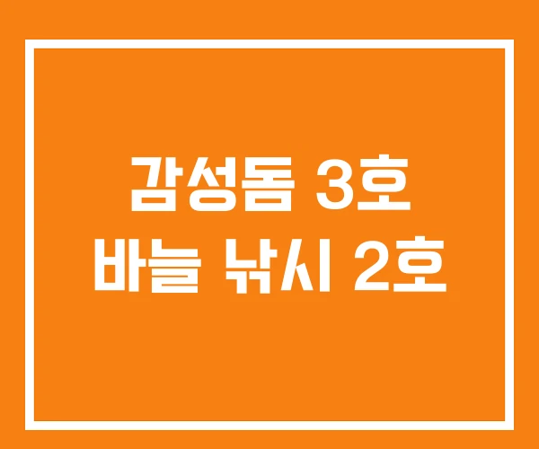 감성돔 3호 바늘 낚시 2호