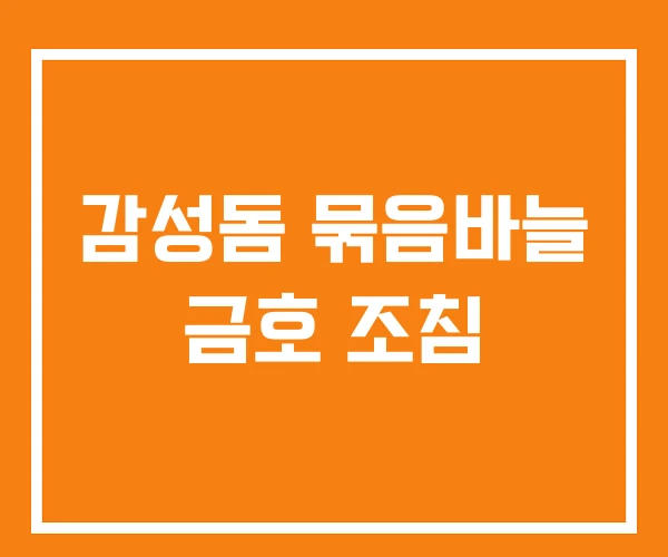 감성돔 묶음바늘 금호 조침