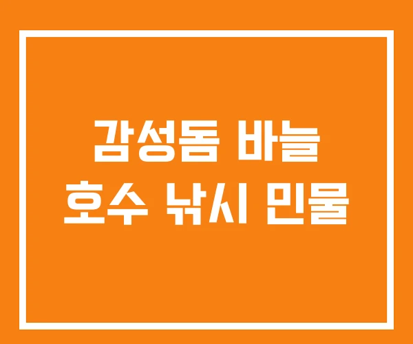 감성돔 바늘 호수 낚시 민물