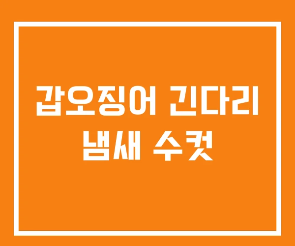 갑오징어 긴다리 냄새 수컷