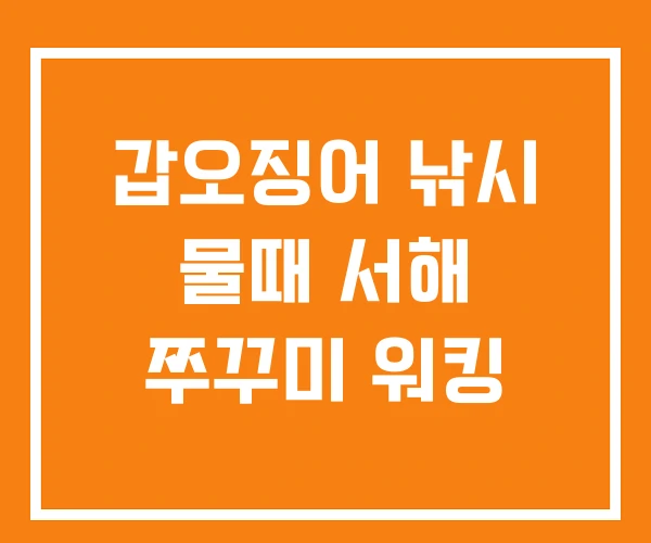 갑오징어 낚시 물때 서해 쭈꾸미 워킹 갑오징어 낚시 물때 서해 쭈꾸미 워킹