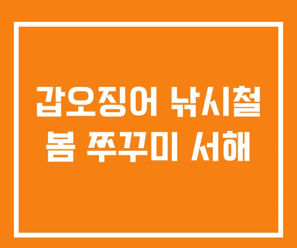 갑오징어 낚시철 봄 쭈꾸미 서해 갑오징어 낚시철 봄 쭈꾸미 서해