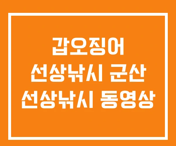 갑오징어 선상낚시 군산 선상낚시 동영상