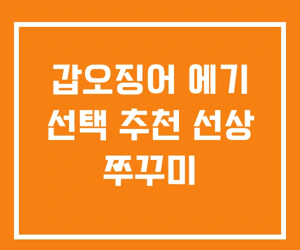 갑오징어 에기 선택 추천 선상 쭈꾸미 갑오징어 에기 선택 추천 선상 쭈꾸미