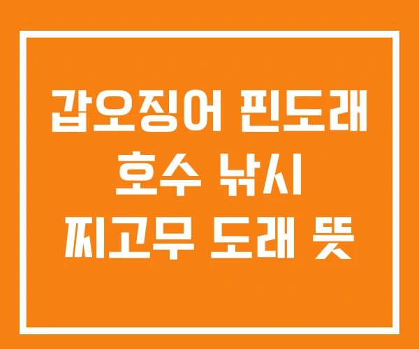 갑오징어 핀도래 호수 낚시 찌고무 도래 뜻 갑오징어 핀도래 호수 낚시 찌고무 도래 뜻