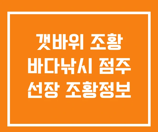 갯바위 조황 바다낚시 점주 선장 조황정보 갯바위 조황 바다낚시 점주 선장 조황정보