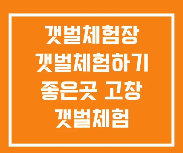 갯벌체험장 갯벌체험하기 좋은곳 고창 갯벌체험 갯벌체험장 갯벌체험하기 좋은곳 고창 갯벌체험