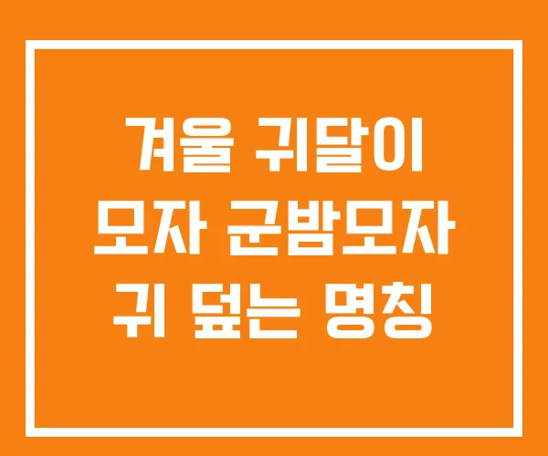 겨울 귀달이 모자 군밤모자 귀 덮는 명칭