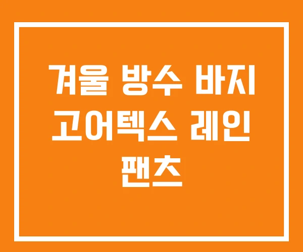 겨울 방수 바지 고어텍스 레인 팬츠