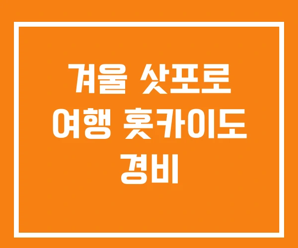 겨울 삿포로 여행 홋카이도 경비