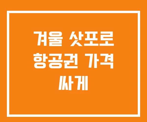 겨울 삿포로 항공권 가격 싸게 겨울 삿포로 항공권 가격 싸게