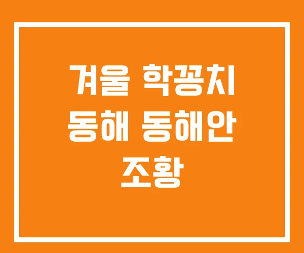 겨울 학꽁치 동해 동해안 조황