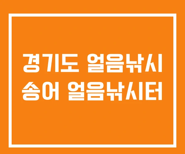 경기도 얼음낚시 송어 얼음낚시터 경기도 얼음낚시 송어 얼음낚시터