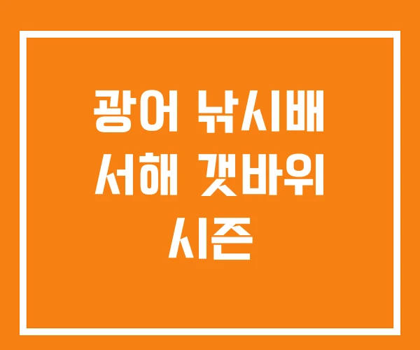 광어 낚시배 서해 갯바위 시즌 광어 낚시배 서해 갯바위 시즌